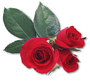 All for you!!!